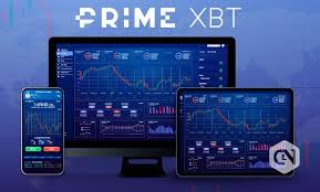 All You Need to Know About Verification PrimeXBT All You Need to Know About Verification PrimeXBT