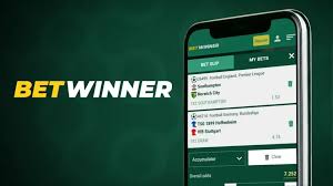 Exploring BetWinner Sports Bets Your Ultimate Guide Exploring BetWinner Sports Bets Your Ultimate Guide